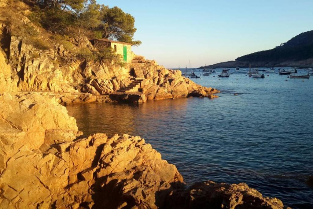 Apt Con Vistas Islas Medas Жирона Экстерьер фото
