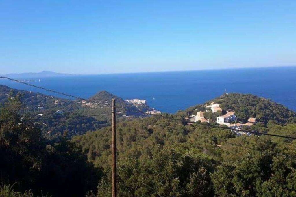 Apt Con Vistas Islas Medas Жирона Экстерьер фото